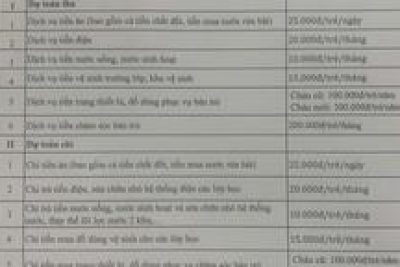 Quyết định về việc công bố công khai dự toán các khoản thu dịch vụ phục vụ, hỗ trợ hoạt động giáo dục năm học 2025-2026 của trường mầm non Ninh Phúc